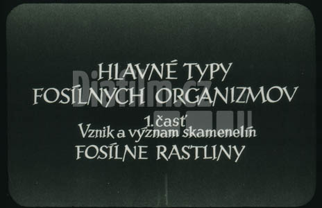 Hlavní typy fosilních organizmů I. Vznik a význam skamenelin fosilní rostliny