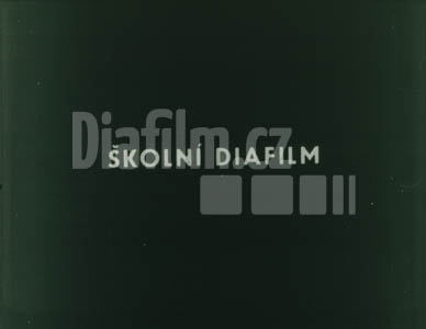 Hudební nástroje