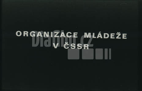 Organizace mládeže v ČSSR