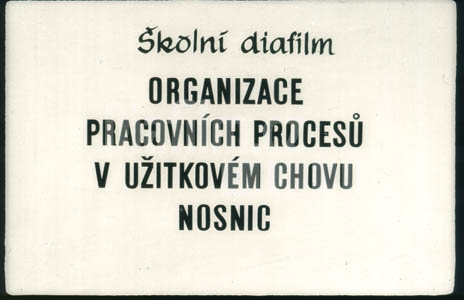 Organizace pracovních procesů v užitkovém chovu nosnic