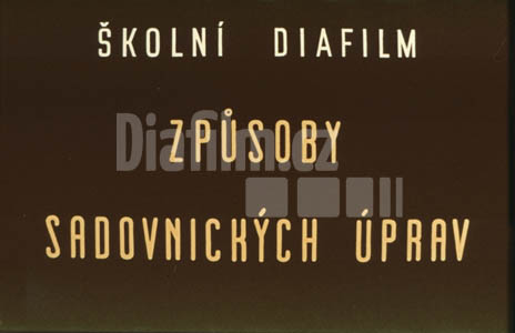 Způsoby sadovnických úprav II. Sloh přírodně-krajinařský a současné sadové úpravy