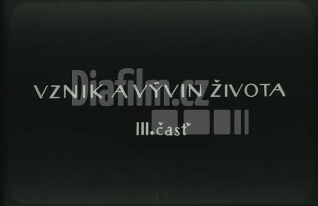 Vznik a vývoj života III.