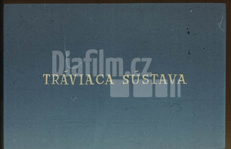 Trávící soustava
