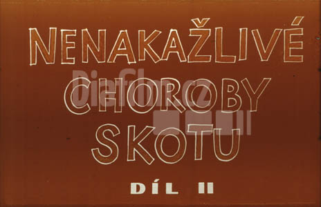 Nenakažlivé choroby skotu 2