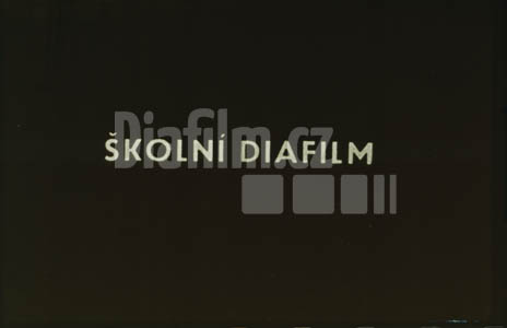 Grafika