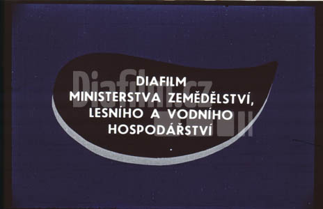 Výživa a hnojení ovocných dřevin I