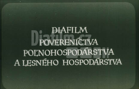 Nakládání dřeva autonavijákem