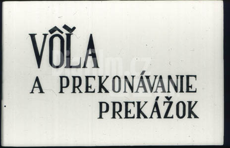 Vůle a překonávání překážek