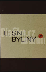 Lesní byliny