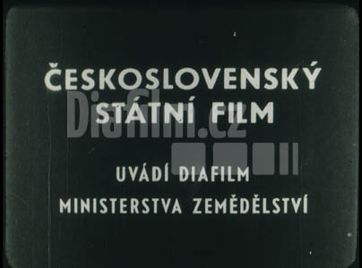 Jak zabránit ztrátám při konzervování krmiv