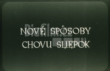 Nové způsoby chovu slípek