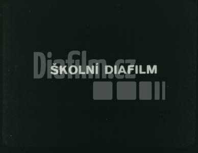 Kaučuk