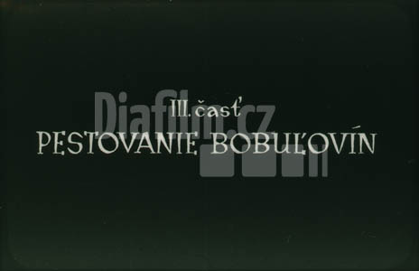 Základy ovocnářství III. pěstování bobulovin