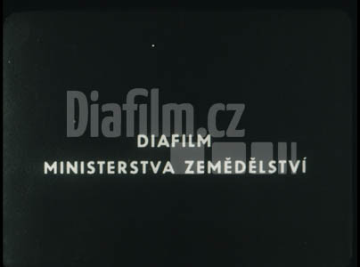 Konzervujeme krmiva silážováním