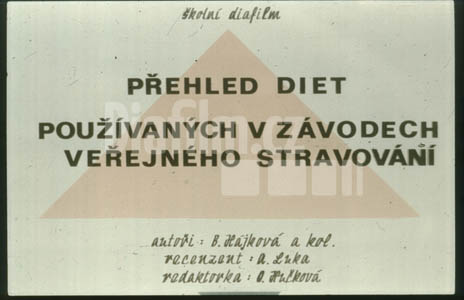 Přehled diet používaných v závodech veřejného stravování