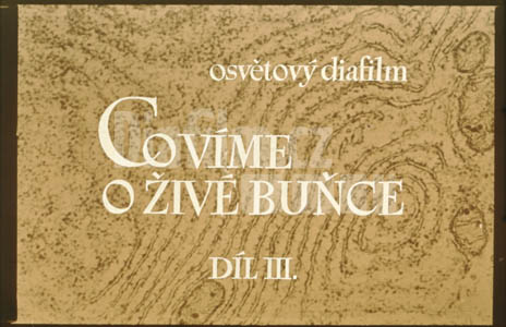 Co víme o živé buňce III Přenos dědičných vlastností