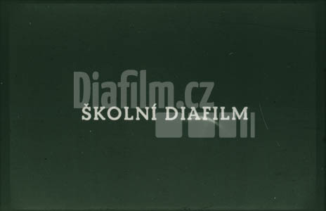 Indie I. díl