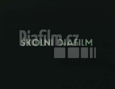 Němcová Božena