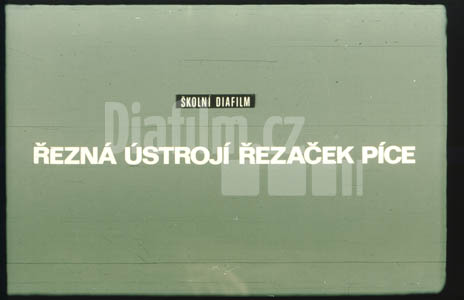 Řezná ústrojí řezaček píce