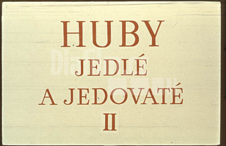 Houby jedlé a jedovaté II.