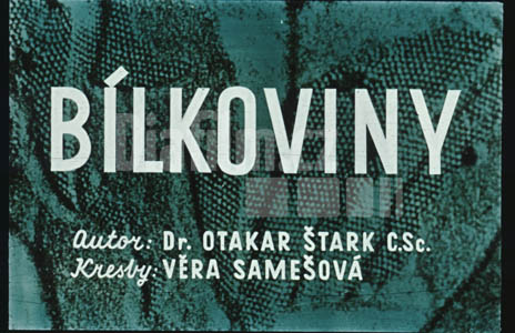 Bílkoviny