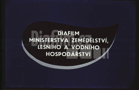 Výživa a hnojení ovocných dřevin II