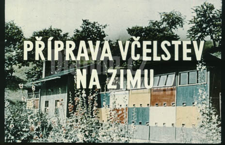 Příprava včelstev na zimu