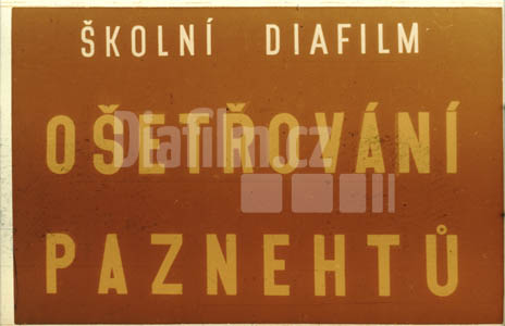 Ošetřování paznehtů