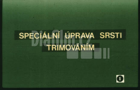 Speciální úprava srsti trimováním