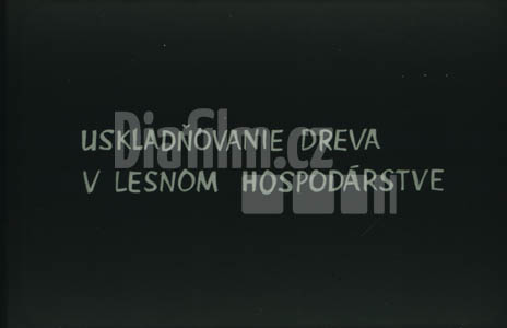 Uskladňování dřeva v lesním hospodářství