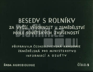 Za vyšší plodnost prasnic