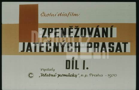 Zpeněžování jatečných prasat I