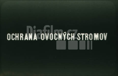 Ochrana ovocných stromů I. Mechanická