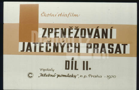 Zpeněžování jatečných prasat II