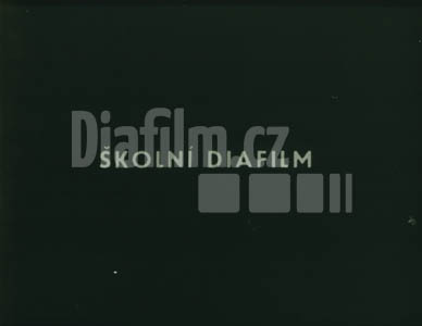 Tělovýchovné chvilky v škole