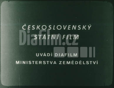 Jeteloviny
