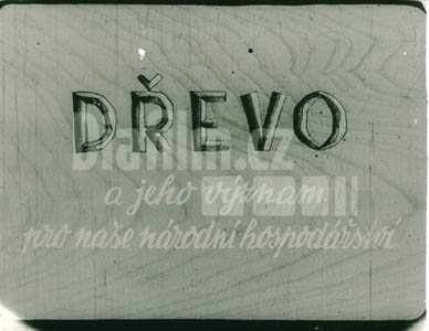 Dřevo a jeho význam pro naše národní hospodářství