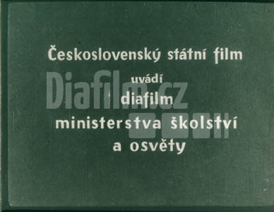 Lesy v naší ochraně a péči