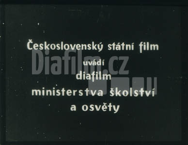 Zapomenuté stehy lidového vyšívání I. díl