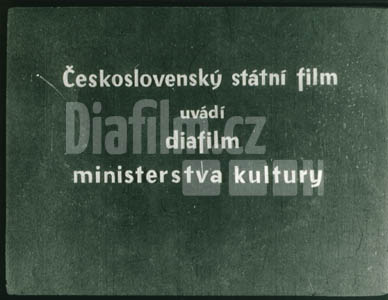 Afričtí trpaslíci