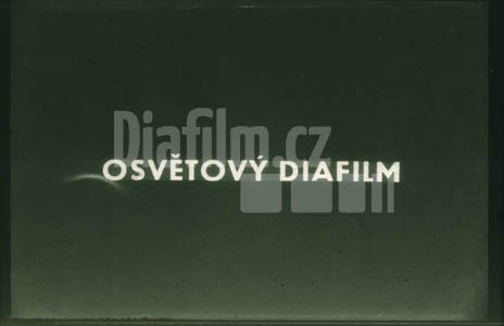 Základy politické ekonomie