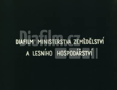 Duben měsíc lesů II.