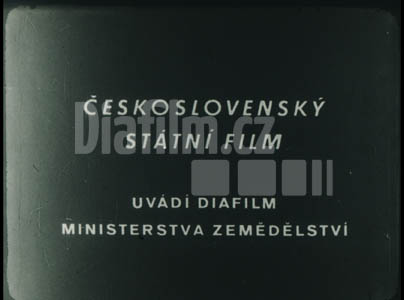 Za vyšší a jakostnější sklizeň brambor