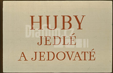 Houby jedlé a jedovaté I.