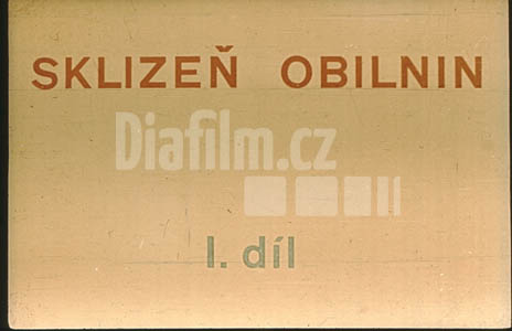 Sklizeň obilnin 1.