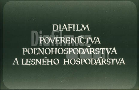 Péče o výsadby I.