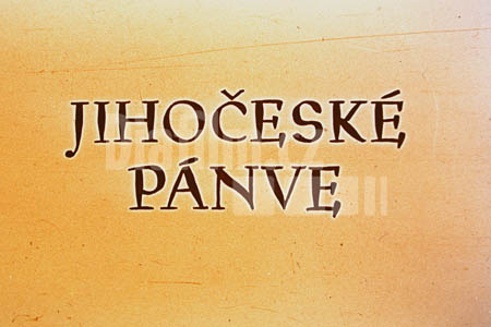 Jihočeské pánve