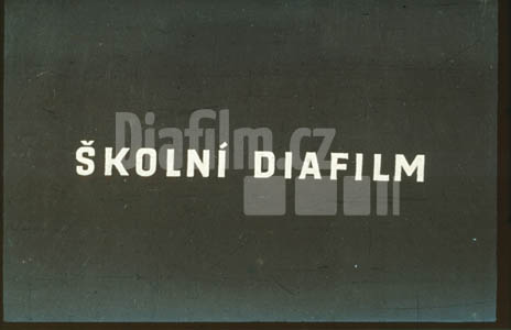 Současný stav skotu II.