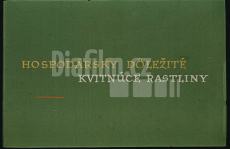 Hospodářsky důležité kvetoucí rostliny I.