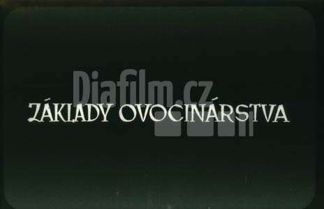 Základy ovocnářství I. pěstování zákrsků